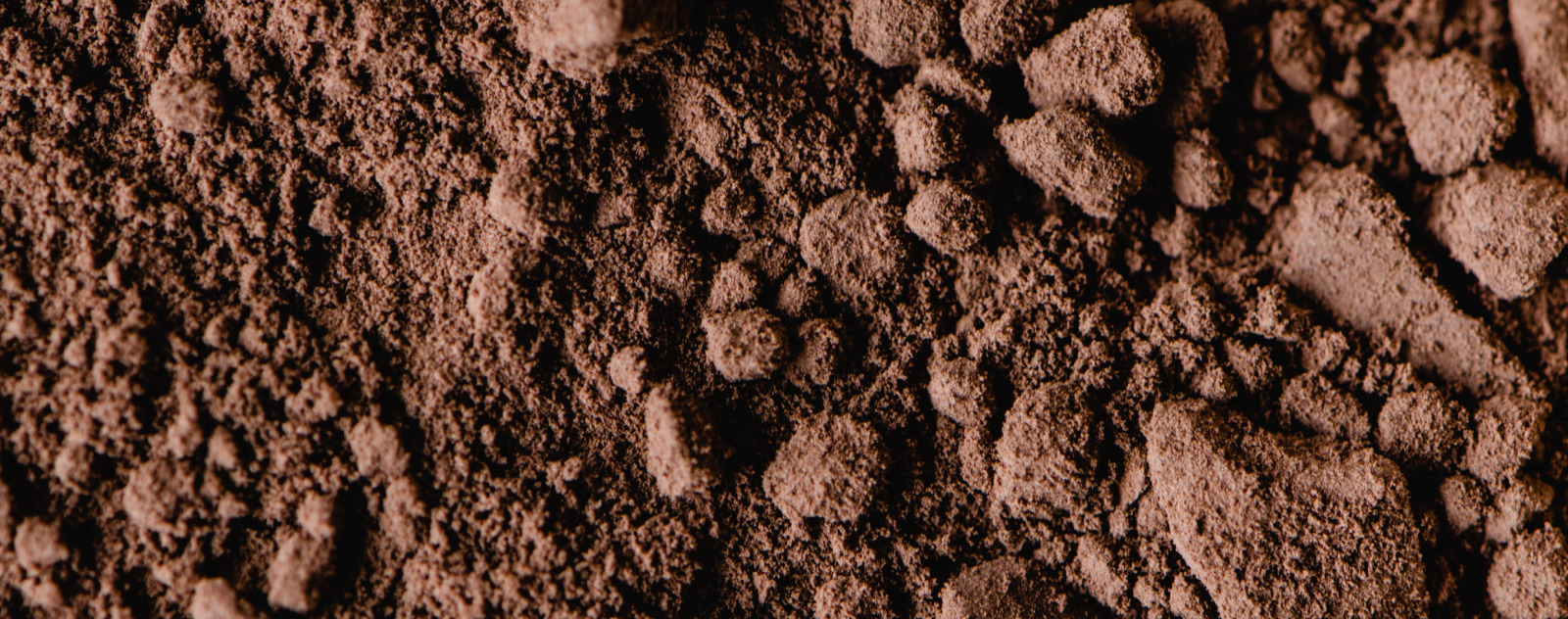 Cacao en Poudre