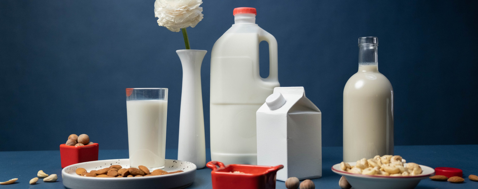 Comment remplacer les produits laitiers