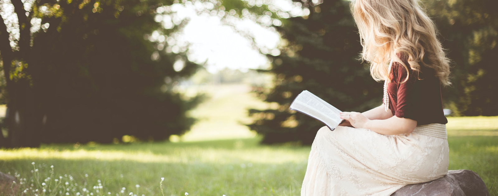 Les Meilleurs Livres Vegans